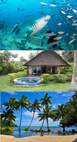 Beqa Lagoon Fiji 2024